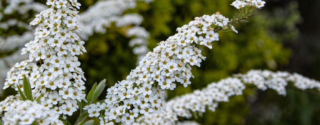 Håndleddets kunstverk: Uventede kombinasjoner som gir wow-effekt
